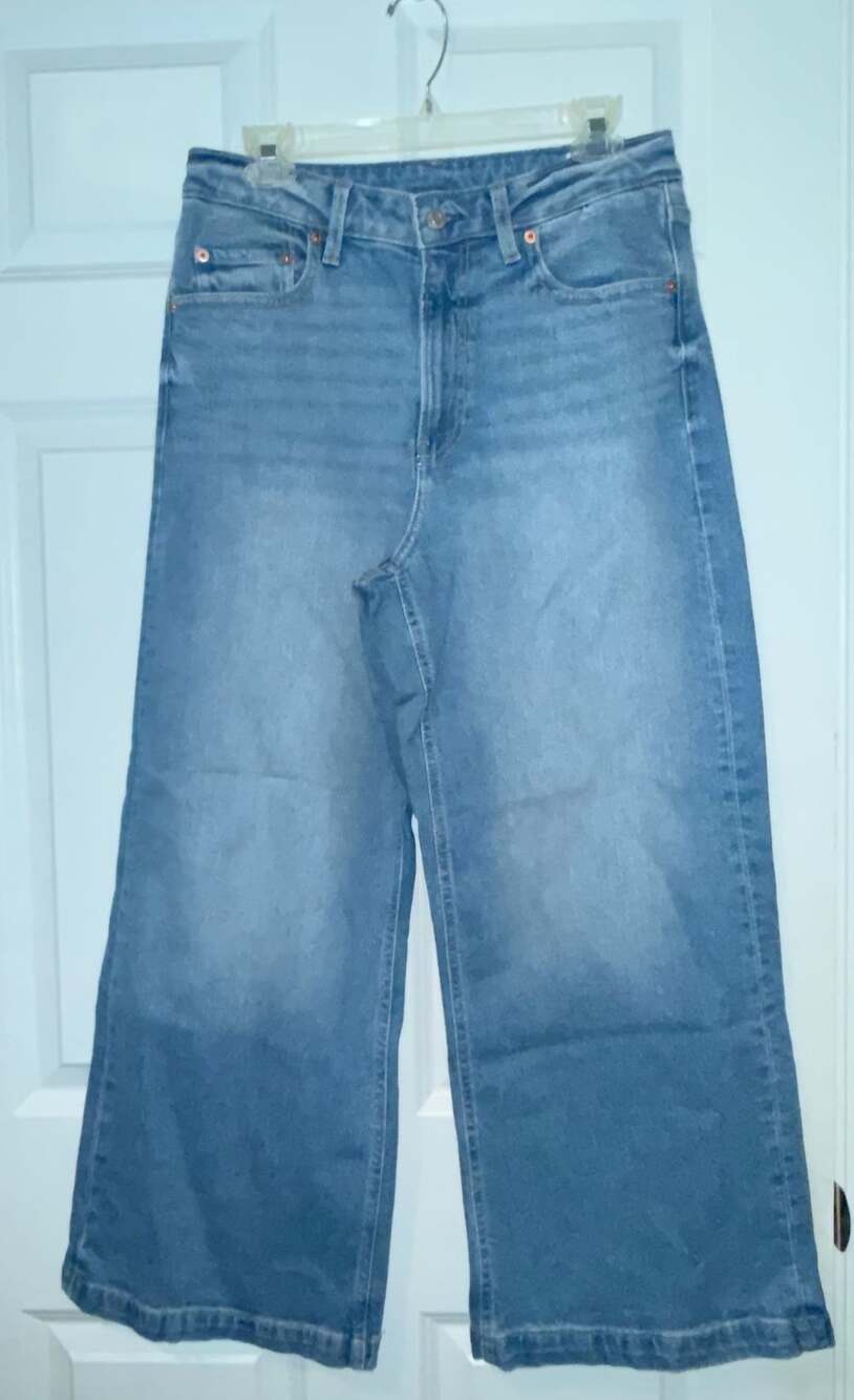 NWT Gap High Rise Wide-Leg Jeans Light Wash 30/10R